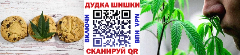 Купить закладки  Богородск  Canna-Cookies конопля 