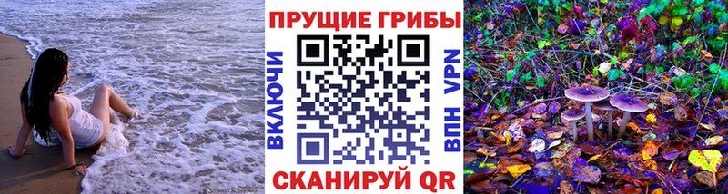 Галлюциногенные грибы прущие грибы  Купить где  Богородск 