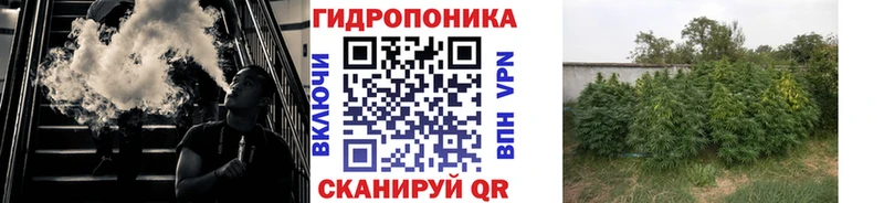 Купить закладки  Богородск  Каннабис LSD WEED 